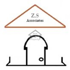 Z.S Associates