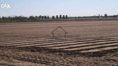 200 Sq Yard Full Paid Plot For Sale In Dha City Sector 6d