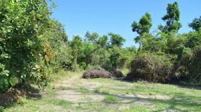 Residential Plot Is Available For Sale