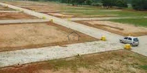 Agricultural Land Is Available For Sale