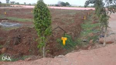 Residential Plot For Sale At Excellent Location Hot Deal