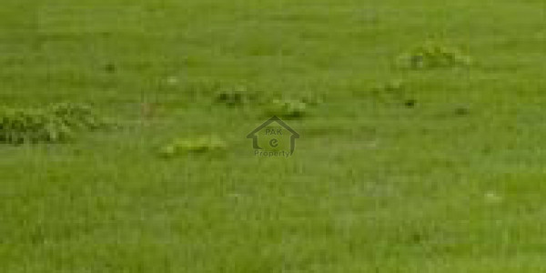 Commercial Plot Available For Sale