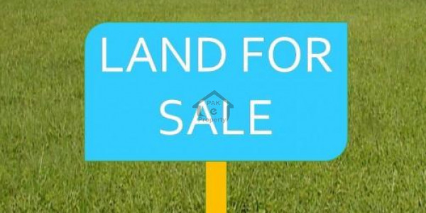25 Acre Agriculture Land For Sale On Depalpur Road Okara