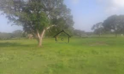 Commercial Plot Is Available For Sale