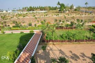 Residential Plot Is Available For Sale