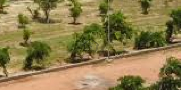 Agricultural Land For Sale In Usman Ouri Tando Allahyaar