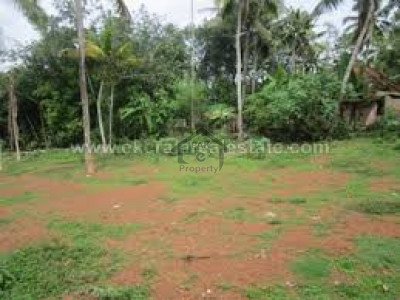 Land 4 Acres For Sale