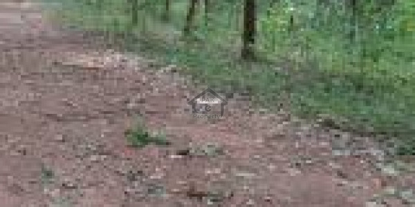 Residential Plot Is Available For Sale