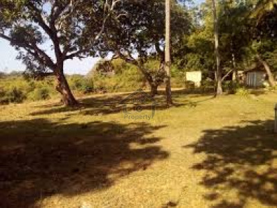Commercial Plot Is Available For Sale