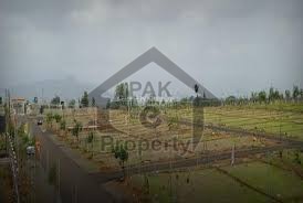 Plot For Sale I Want To Sale It Very Urgent