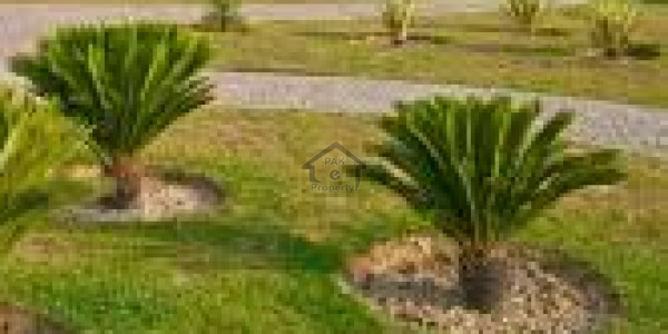 1 Kanal Plot Is Available For Urgent Sale In DHA City - Sector 3-A