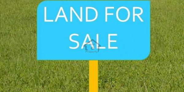 Commercial Plot Is Available For Sale