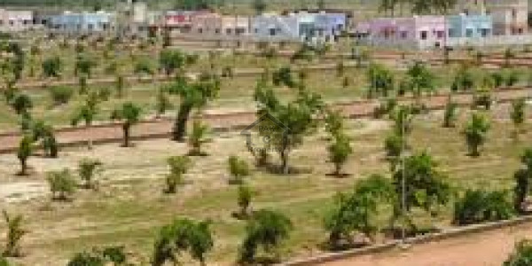 5 Industrial Open Land - Near New Airport And Makran Coastal Highway