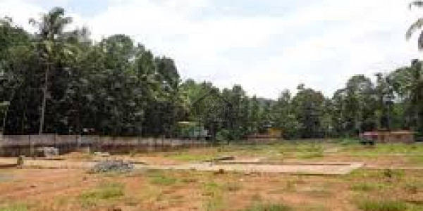 8 Marla 30x60 Extreme Top Beautiful Located Develop Plot For Sale Sector B1