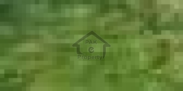 Pair Plot Is Available For Sale @ Faisal Town