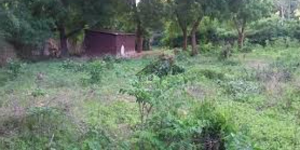 Residential Plot For Sale In Ministry Of Commerce On Prime Location