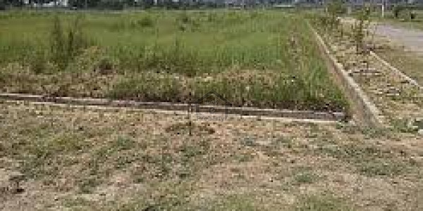 Pair Plot Is Available For Sale