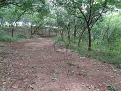 Residential Plot Is Available For Sale