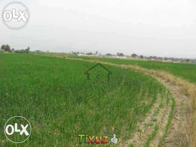 5 Kanal Farm House Plot For Sale In Multi Residencia & Orchards - Block C