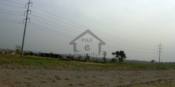 New Booking In Bahria Orchard Limited Plot Available For Sale