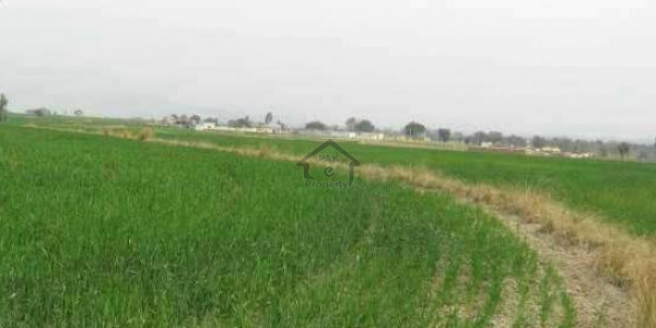 Motorway Thalia Plot File Is Available For Sale
