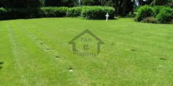 New City Phase 2   Commercial PLOTS for SALES By JANJUA