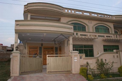 F6 600 Sqyd Beautiful House For Rent