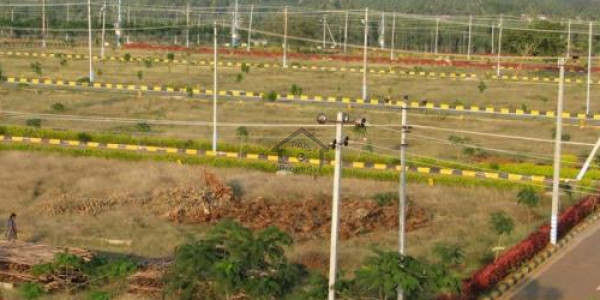 D12 PLOT FOR SALE 60x90 600 SQUARE YARDS NICE LOCATION