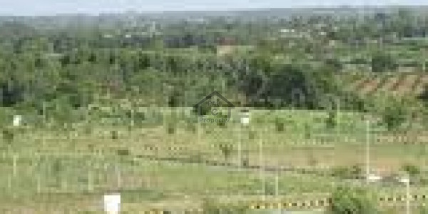 Residential Plot Is Available For Sale in Multi Residencia & Orchards