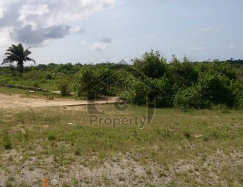 Plot Is Available For Sale