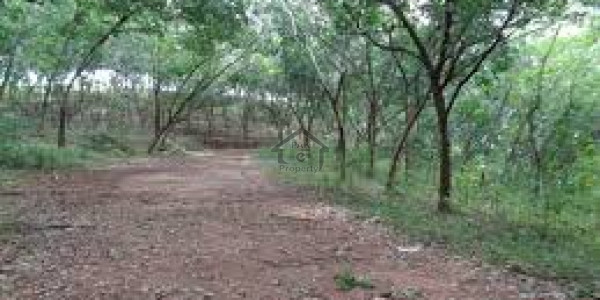 Commercial Plot 100 Sqyds KhyabaneUmar Available For Sale in Sahil Commercial Area Phase 8 Extension