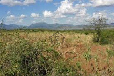 Pair Commercial Plot Is Available For Sale