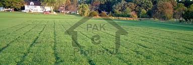 Raffi block 8 marla residentail plot available in bahria town phase 8