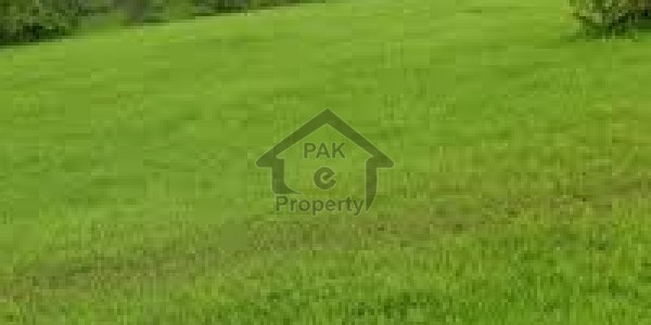DHA valley islamabad 5 marla, 8 marla and its commercial plot Required
