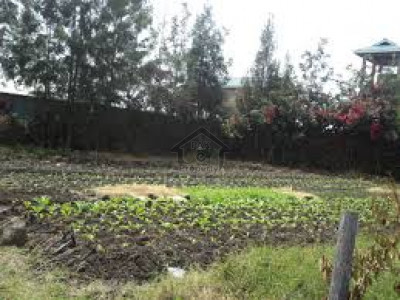 Residential Plot Is Available For Sale