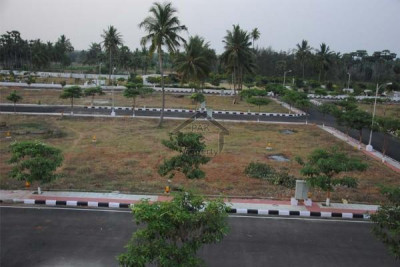 Sports City 1000 Sq Yards Boulevard Pair Plot File For Sale
