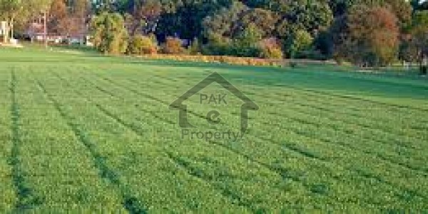 Usman D block 22marla phase8 bahria Town plot available