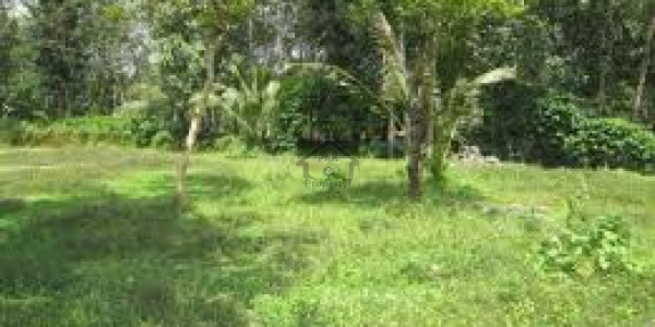 Plot Is Available For Sale