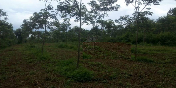 Residential Plot For Sale In E-13 Cda New Sectors Best To Invest Investors Required Double Your Amou