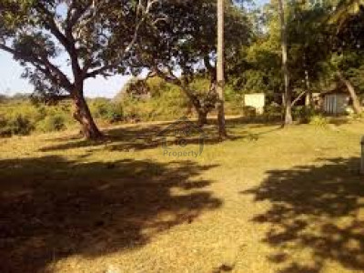 Pair Plot No. 337 & 338 For Sale In Multi Residencia & Orchards