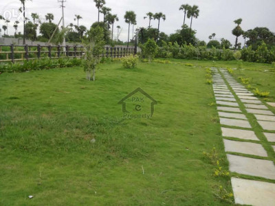 Gandhara City Confirm Plots Available Investors Price