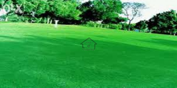 25x50 Sq Feet Plot For Sale In I163 Islamabad