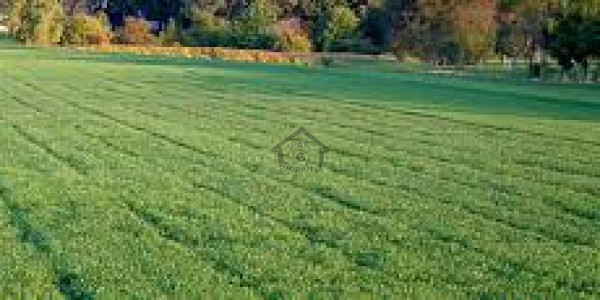 8 Kanal Agriculture Land For Sale