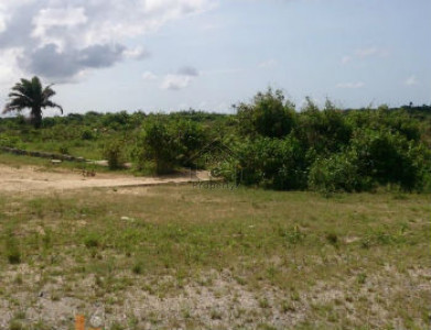 Agriculture Land Available For Sale