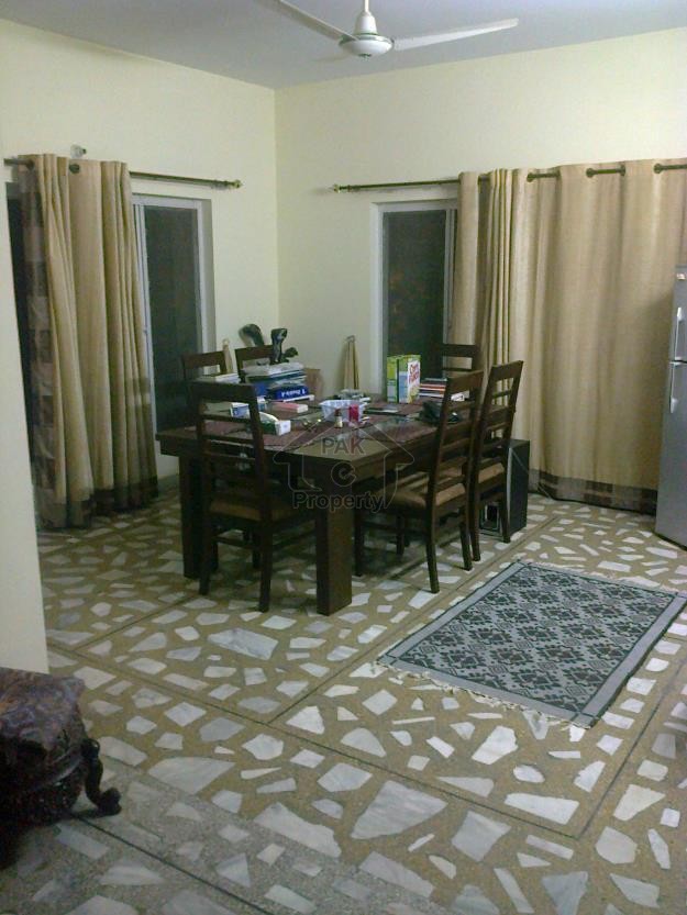 10 bed beautiful 500 yards house F-7/4