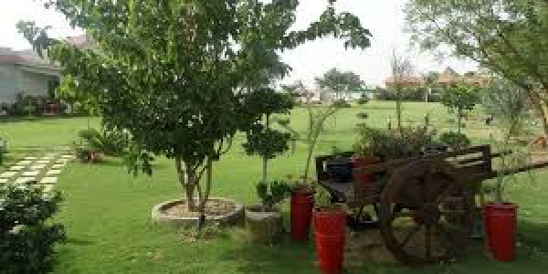Shah Dara Agro Farms Islamabad Very Beautiful And Scenic Place Ideal Place For Farm Living In Islama