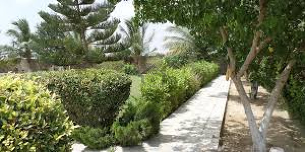 100 Kanal Agricultural Land For Sale Shah Dara Islamabad