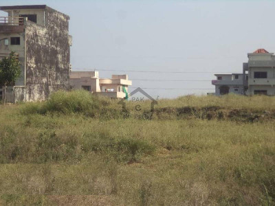 1 Kanal Plot Is Up For Sale In 79 Lac