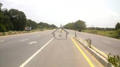 Commercial Plot Is Available For Sale