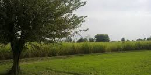Agriculture Land Is Available For Sale IN GWADAR